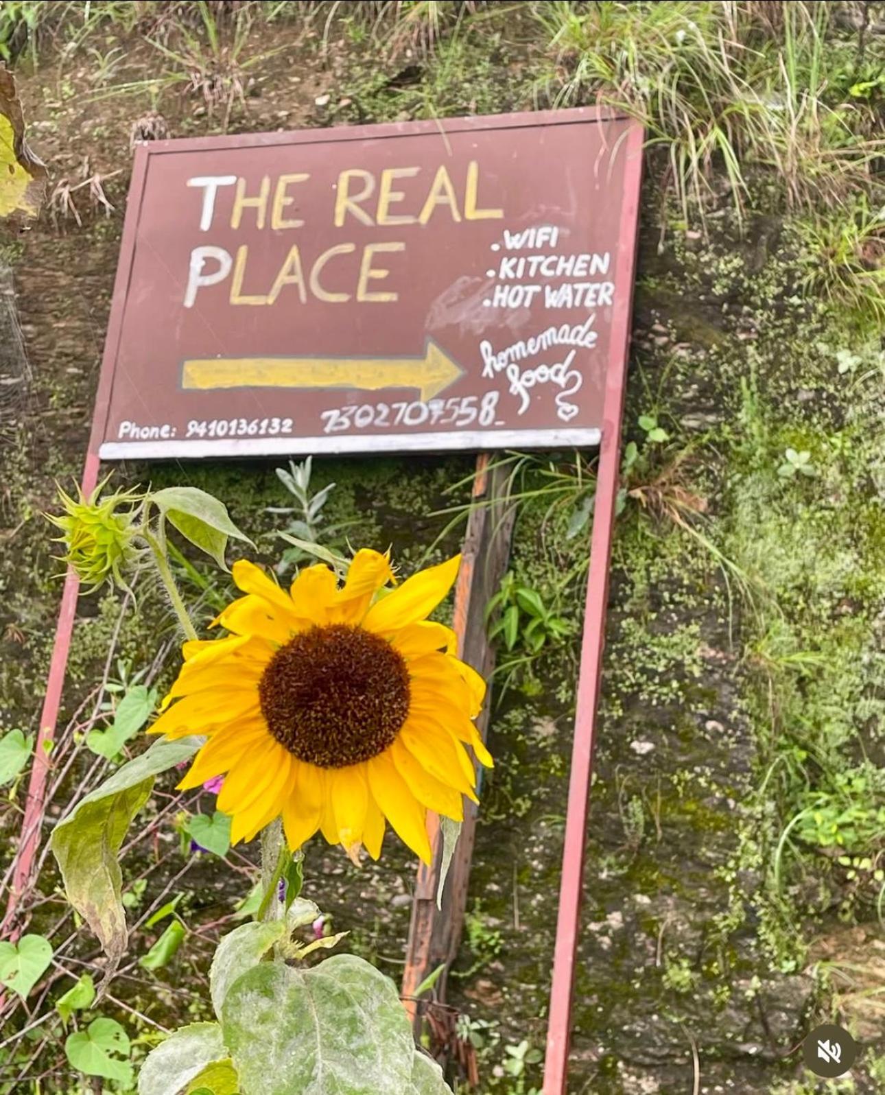The Real Place Almora Exterior photo